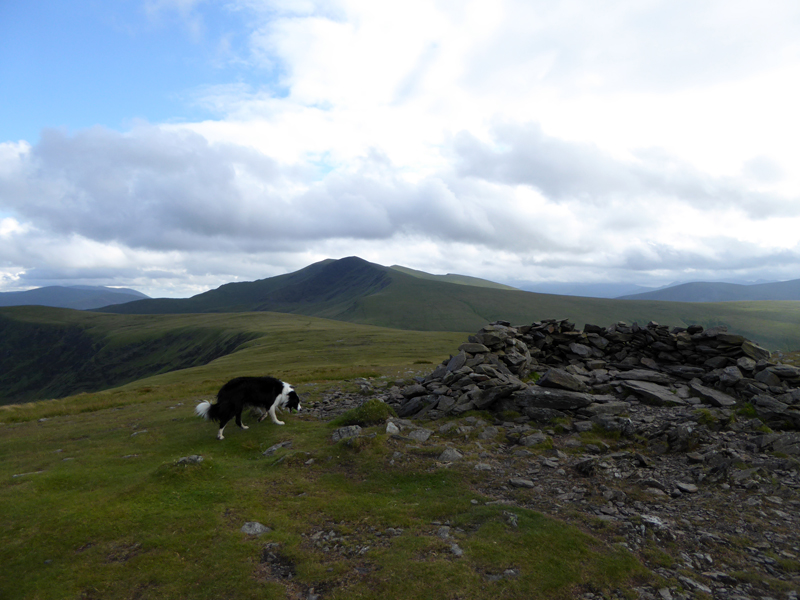 Bowscale Fell summit